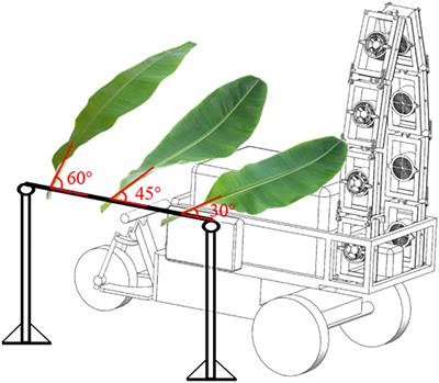 Wetting and deposition characteristics of air-assisted spray droplet on large broad-leaved crop canopy